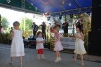 Przegląd konkursowy