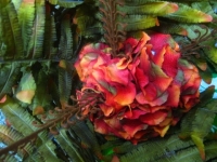 noc_swietojanska09 5