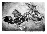 rys_weglem-pocztowki12 14