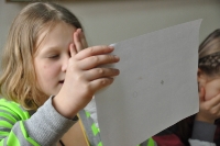 Ferie w CK - Lasy i dżungle