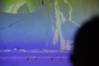 Ferie w CK - 19 II 2013