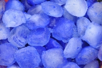 Ferie w CK - 19 II 2013