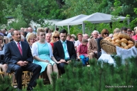 Dożynki Łęczyńskie 2014