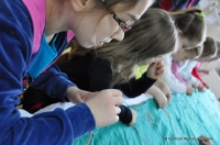 28 01 2014 ferie w CK