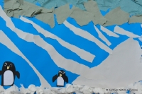 30 01 2014 ferie w CK