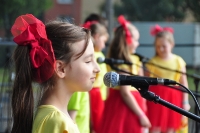 Dni Łęcznej - Jarmark Łęczyński 2015