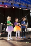 Jarmark Łęczyński 2017_30