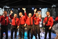 XX FESTIWAL KAPEL ULICZNYCH I PODWÓRKOWYCH ŁĘCZNA 2017 