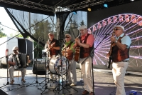 XX FESTIWAL KAPEL ULICZNYCH I PODWÓRKOWYCH ŁĘCZNA 2017 