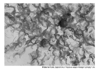 XI Ogólnopolskim Konkursie Rysunku Węglem pn.:”Kosmos”