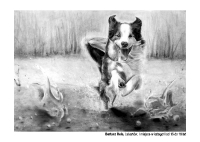 Pocztówki - węgiel19_Page_18