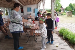 WAKACJE W MIEŚCIE- wycieczka Kraina Rumianku