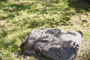 WAKACJE W MIEŚCIE-  BAŁTÓW