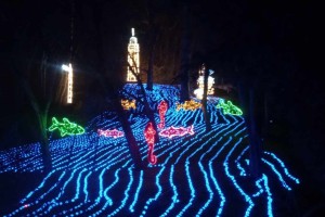 FERIE z PASJĄ cz. I