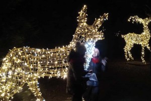 FERIE z PASJĄ cz. I