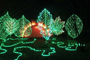 FERIE z PASJĄ cz. I