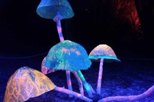 FERIE z PASJĄ cz. I