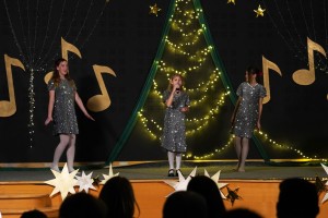 Dzika Akademia Musicalu